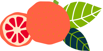 illustration of grapefruit